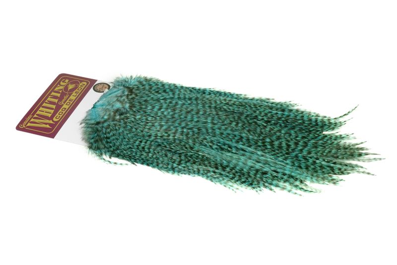 Whiting Coq de Leon Rooster Saddle – Bronze â€“ dealerweb-cms-0f6a0419-3e78-48e8-ad32-79104b273a76.jpg