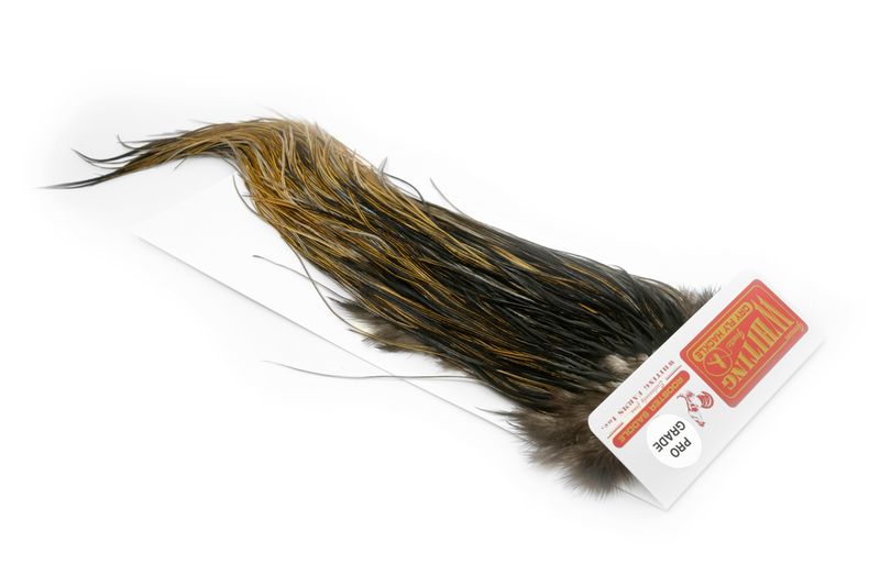 Whiting Rooster Saddle – Pro Grade â€“ dealerweb-cms-136fdd40-27d4-4318-9979-5ab483956a10.jpg