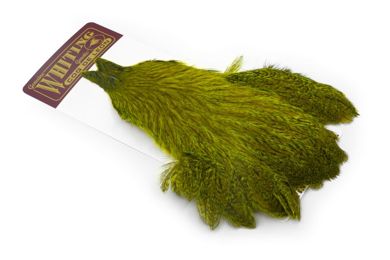 Whiting Coq de Leon Hen Cape â€“ dealerweb-cms-15020930-004d-4407-bb97-b535dba9acd2.jpg