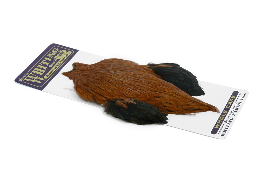 Whiting American Rooster Cape - Badger Brown