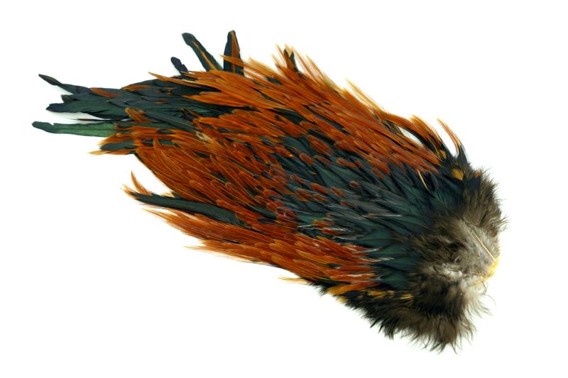 Whiting 4 B's Rooster Saddle â€“ dealerweb-cms-18facb75-d6fc-4561-ac2d-9bc477e36944.jpg