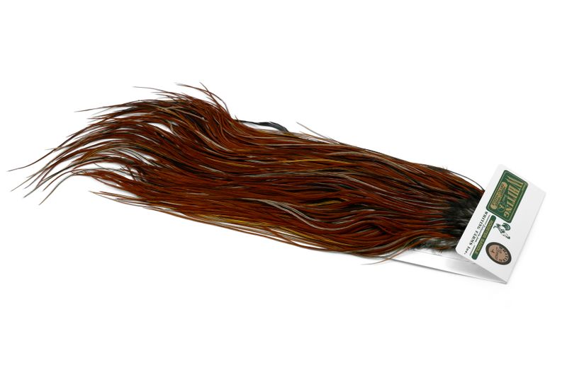 Whiting Hebert Rooster Saddle – Bronze â€“ dealerweb-cms-1a9436f9-9c14-47e6-aa48-1fb7dfdb855d.jpg