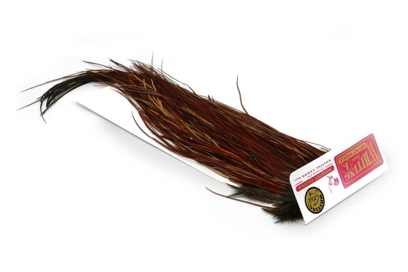Whiting Rooster Saddle – Gold â€“ dealerweb-cms-1aa2740e-e2b4-4811-b4c0-98859973dac9.jpg