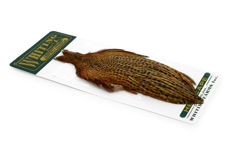 Whiting Hebert Hen Cape â€“ dealerweb-cms-1ca7c920-6998-4733-8daf-902f751d811f.jpg