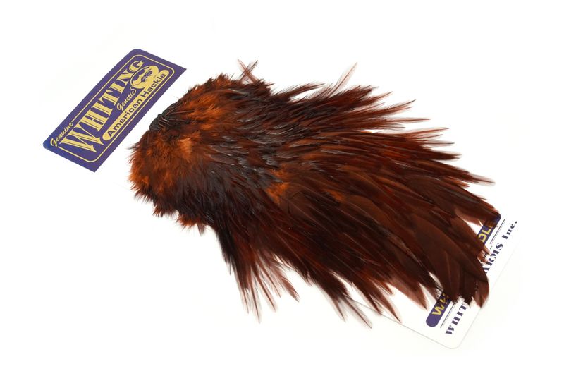 Whiting American Rooster Saddle â€“ dealerweb-cms-1d2c15ef-2cc9-41e6-970a-6b6ade51e76d.jpg