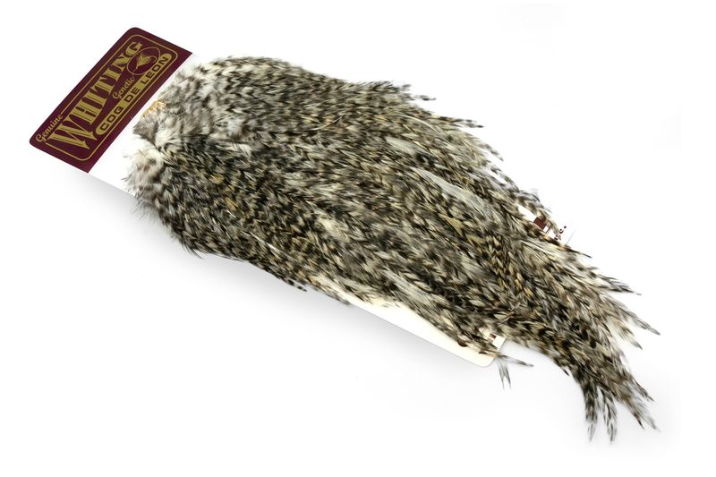 Whiting Coq de Leon Rooster Saddle – Gold â€“ dealerweb-cms-1dbbbc97-6332-4890-b9a0-954439688ae1.jpg