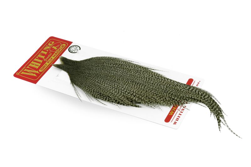 Whiting Rooster Cape – Silver â€“ dealerweb-cms-226fce06-b873-48b8-88b9-b0673823d08b.jpg