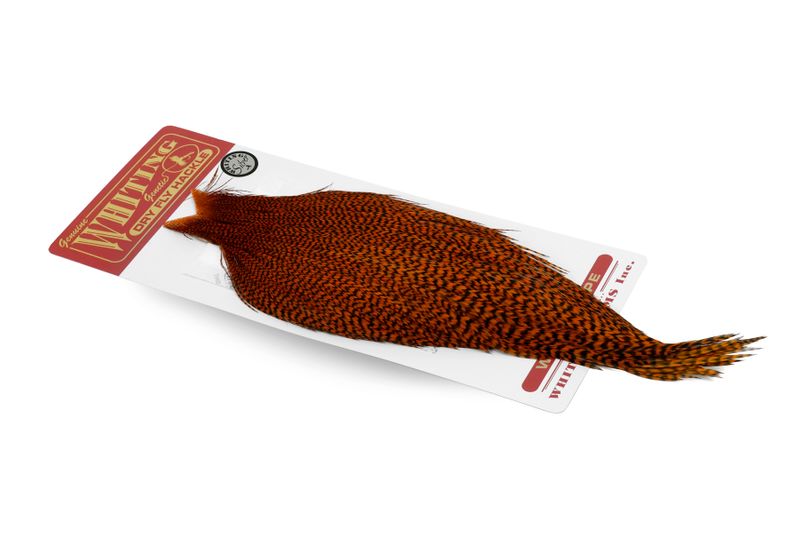 Whiting Rooster Cape – Silver â€“ dealerweb-cms-2336583f-252e-47c3-818a-f946343d2833.jpg