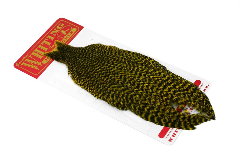 Whiting Hen Cape â€“ dealerweb-cms-274586ec-d225-4541-9648-8bd8c4ed338d.jpg