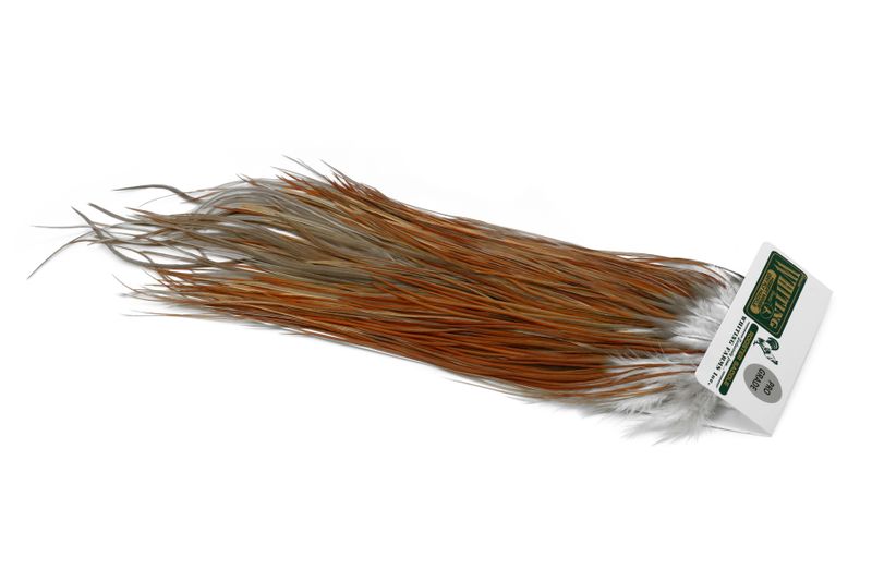 Whiting Hebert Rooster Saddle – Pro Grade â€“ dealerweb-cms-28c6f5f1-a275-4ec1-8d78-939aeaa0eb52.jpg