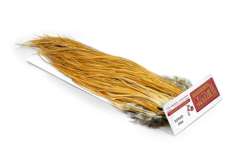 Whiting Rooster Saddle – Pro Grade â€“ dealerweb-cms-292e99f0-4036-429f-b4ed-c7db62ec78cb.jpg
