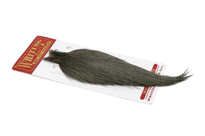 Whiting Rooster Cape – Commercial Grade â€“ dealerweb-cms-295c11a0-2a91-4e6b-bdab-133879ba8d73.jpg