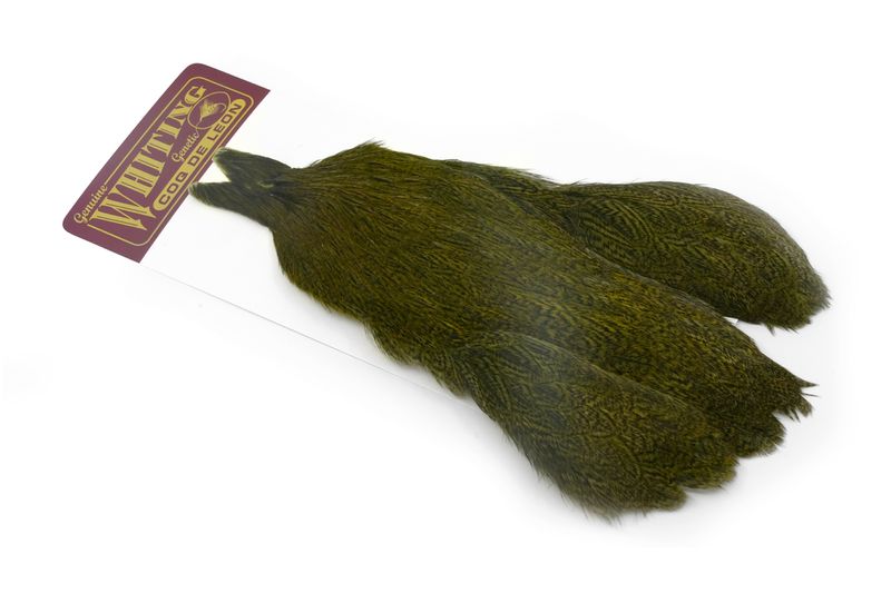 Whiting Coq de Leon Hen Cape â€“ dealerweb-cms-2a0b952d-511d-4158-b7b4-b6990c4026d8.jpg