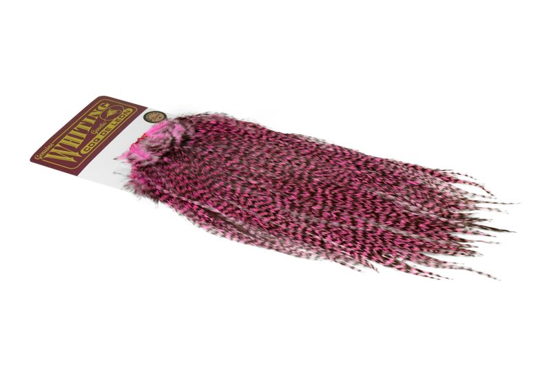 Whiting Coq de Leon Rooster Saddle – Bronze â€“ dealerweb-cms-2a333395-e918-4cf2-b5d2-f95604b754ae.jpg