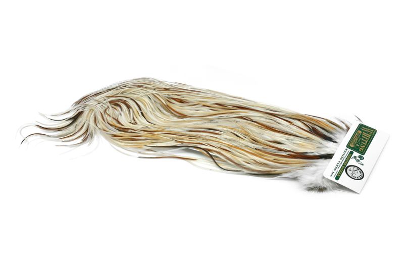 Whiting Hebert Rooster Saddle – Silver â€“ dealerweb-cms-2abd4a6b-f38b-4e15-9566-b0c0c8603c80.jpg