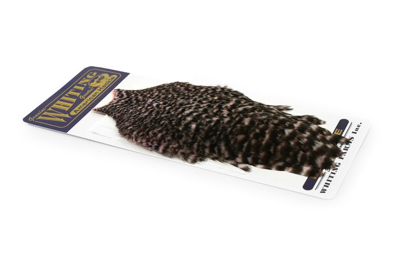 Whiting American Hen Cape â€“ dealerweb-cms-2aef56ea-9200-45c3-b9da-ae7e6461fafa.jpg