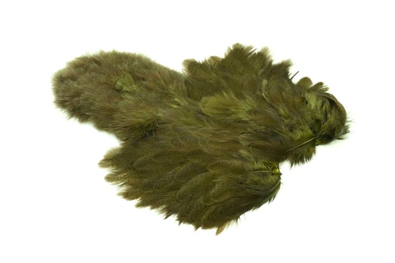 Whiting Brahma Hen SH/C â€“ dealerweb-cms-2aefb349-c5c0-41c3-8999-c3bc71af96a8.jpg
