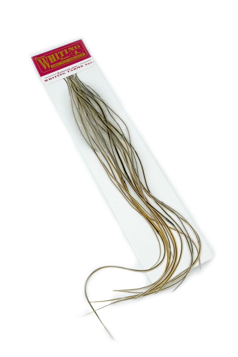 Whiting 100-pk – Size 18 â€“ dealerweb-cms-2e1c074f-b61b-4400-b70a-79a3859cdb15.jpg