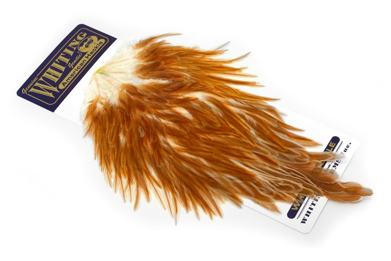 Whiting American Rooster Saddle â€“ dealerweb-cms-2f7a57ae-83b5-40e0-bec4-7522d4d20e42.jpg