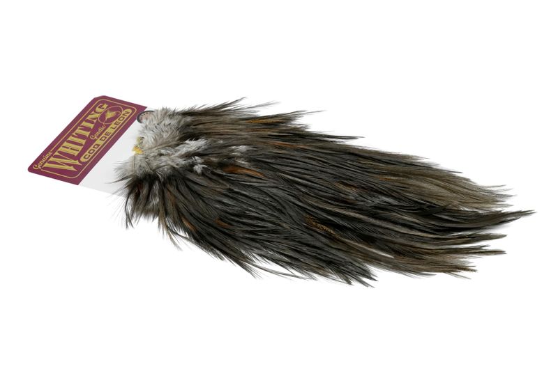 Whiting Coq de Leon Rooster Saddle – Bronze â€“ dealerweb-cms-312f6af3-d626-4ebb-b07d-40d03f5b2a0e.jpg