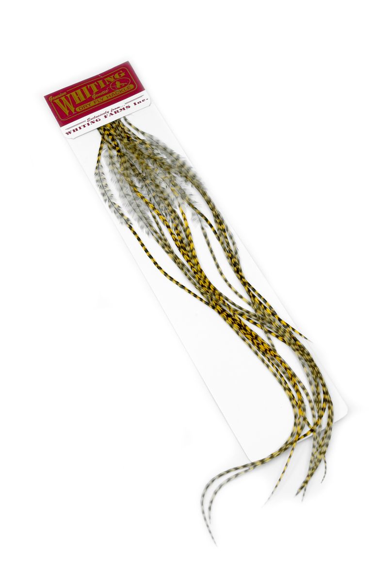 Whiting 100-pk – Size 16 â€“ dealerweb-cms-32081250-c28e-4fff-9290-837010ccec5a.jpg