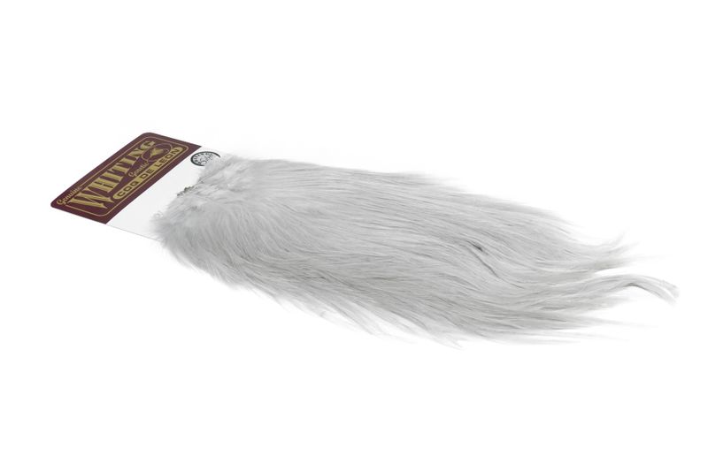 Whiting Coq de Leon Rooster Saddle – Silver â€“ dealerweb-cms-32a8f4f6-1f2b-4216-9150-31a64193d52c.jpg