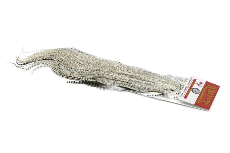 Whiting Silver 1/2 Saddle â€“ dealerweb-cms-32f54154-4fcc-4776-818f-05c5eb88ab47.jpg