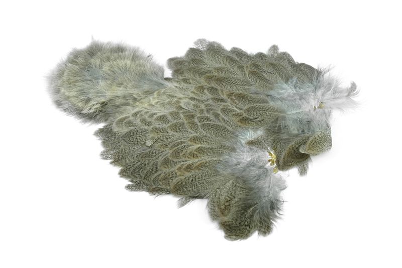 Whiting Brahma Hen SH/C â€“ dealerweb-cms-331e20dd-f434-41a7-ae38-0e371f71f806.jpg