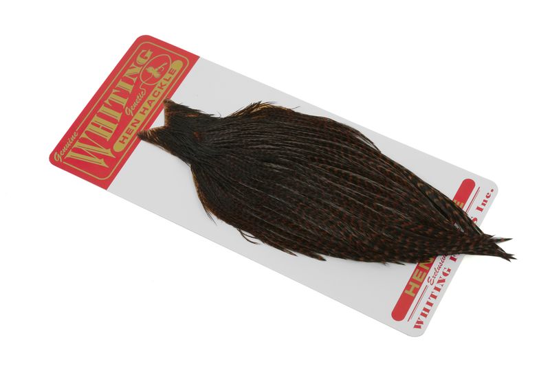 Whiting Hen Cape â€“ dealerweb-cms-367cbd5d-2d08-4d31-8ca9-fa1df960a1a4.jpg
