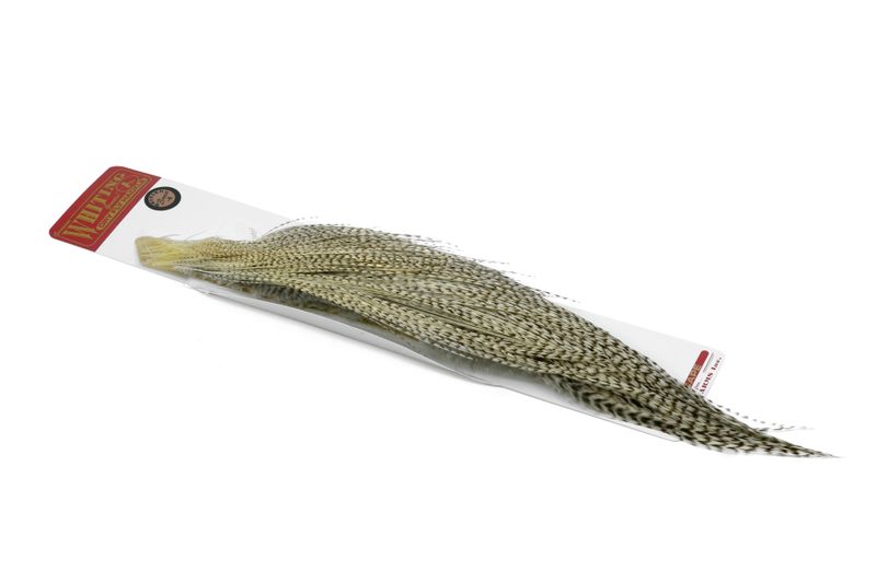 Whiting Rooster 1/2 Cape – Bronze â€“ dealerweb-cms-36d20cb2-08cb-43f9-bed3-be2fccad941a.jpg