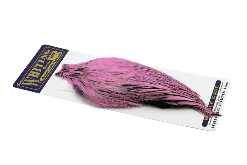 Whiting American Rooster Cape â€“ dealerweb-cms-3a5629fc-8fcf-4d28-87d4-235f52c52416.jpg