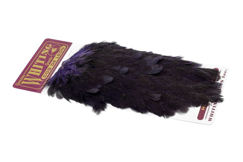 Whiting Coq de Leon Hen Saddle â€“ dealerweb-cms-3b5d2f8d-dd65-420b-99d3-ff9be13780d4.jpg