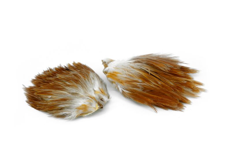 Whiting American Streamer Pack â€“ dealerweb-cms-3c5d133c-4fc3-4e0e-95b7-0c3a419d5f51.jpg
