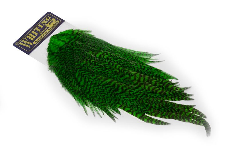 Whiting American Rooster Saddle â€“ dealerweb-cms-3d2cee17-2da6-4aac-931c-96ebcb5c2494.jpg