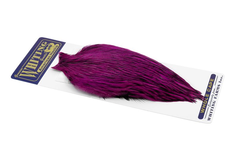 Whiting American Rooster Cape â€“ dealerweb-cms-3d2d4448-6eae-4701-a35d-519754377c86.jpg