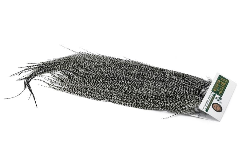 Whiting Hebert Rooster Saddle – Bronze â€“ dealerweb-cms-3f677703-ea44-4ee1-b046-199ce92c594a.jpg