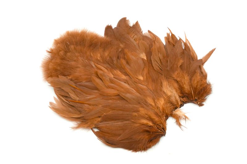 Whiting Rooster SH/C â€“ dealerweb-cms-3ff41f08-4e95-49b3-aef7-78d7b30da73c.jpg