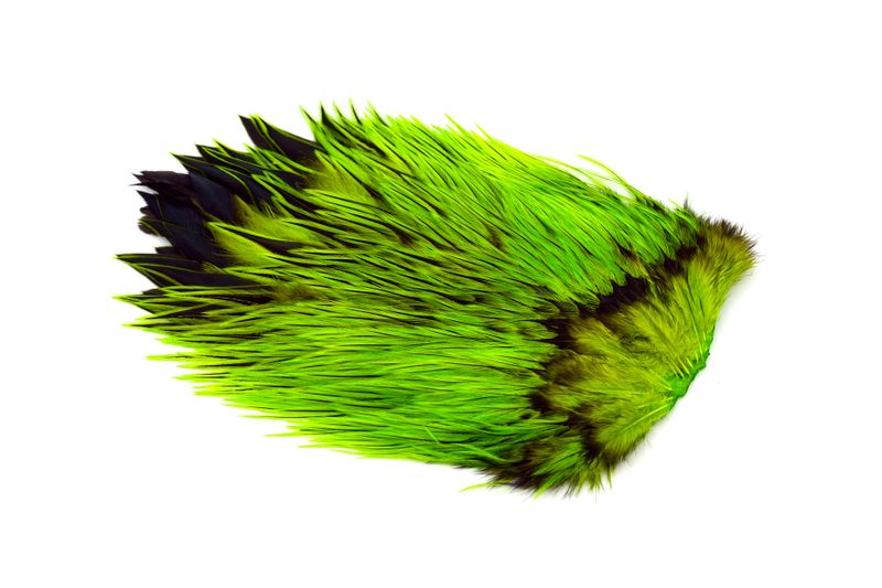 Whiting Brahma Rooster Saddle â€“ dealerweb-cms-433cabad-dfd7-484b-9029-be4cca2f79f4.jpg