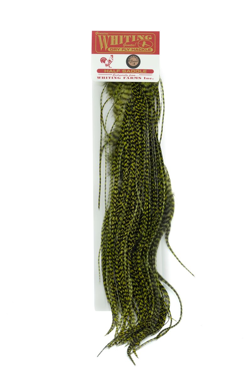 Whiting Rooster 1/2 Saddle – Bronze â€“ dealerweb-cms-43fe8d85-1138-4aed-ae8d-661aac3c61e1.jpg