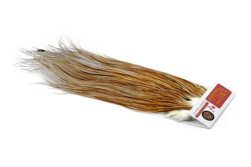 Whiting Rooster Saddle – Bronze â€“ dealerweb-cms-4459a1ec-3ba7-439e-bde7-7f3104d5e850.jpg