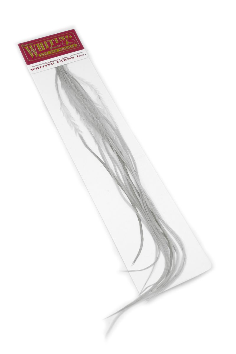 Whiting 100-pk – Size 16 â€“ dealerweb-cms-49547771-3154-486c-9970-a69f060eeba3.jpg