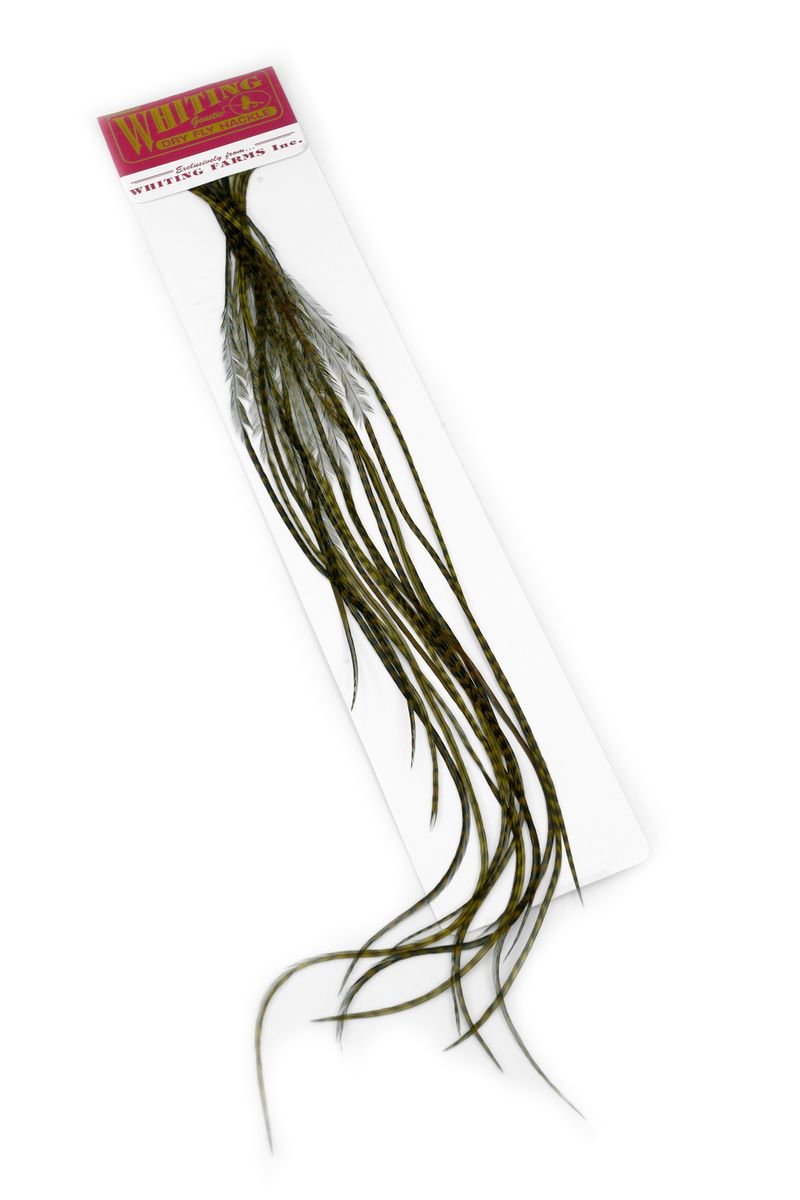 Whiting 100-pk – Size 18 â€“ dealerweb-cms-4962f234-233d-4d0c-ad9d-bc8c42c5e5d7.jpg