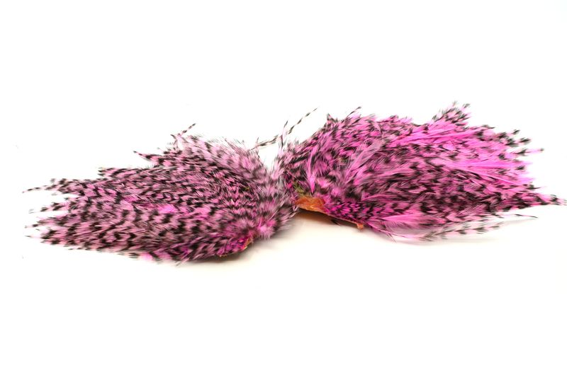 Whiting American Streamer Pack â€“ dealerweb-cms-4a646eab-47e1-4883-92eb-c69def7ccf5c.jpg