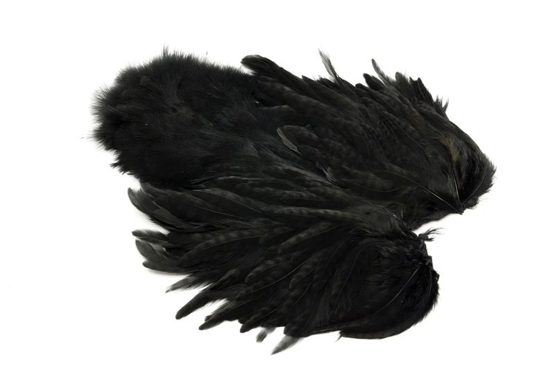 Whiting Rooster SH/C â€“ dealerweb-cms-4c893409-ff16-4d20-9622-c6cad99ac7c6.jpg