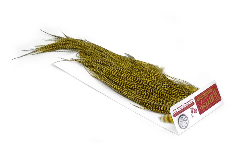 Whiting Rooster Saddle – Silver â€“ dealerweb-cms-4dd55090-416e-4351-9d57-491e11af4312.jpg