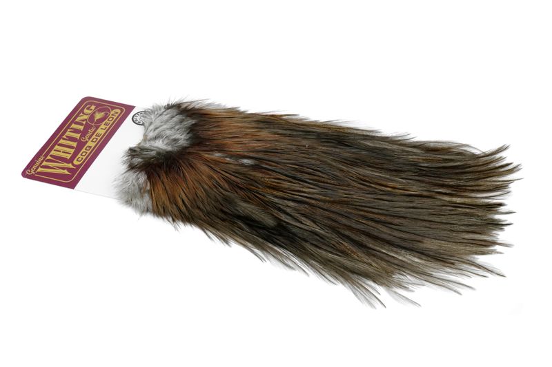 Whiting Coq de Leon Rooster Saddle – Silver â€“ dealerweb-cms-4df6a3eb-ba8a-4960-b332-2e7592de09f1.jpg