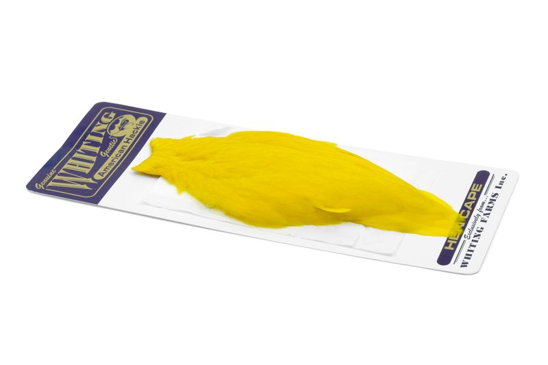 Whiting American Hen Cape â€“ dealerweb-cms-4e829bee-803b-40a7-be5a-4cc598a7bfc9.jpg