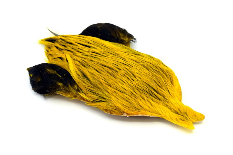 Whiting Brahma Rooster Cape â€“ dealerweb-cms-4fb4df6c-d659-42d0-9134-25eab3f1c64b.jpg