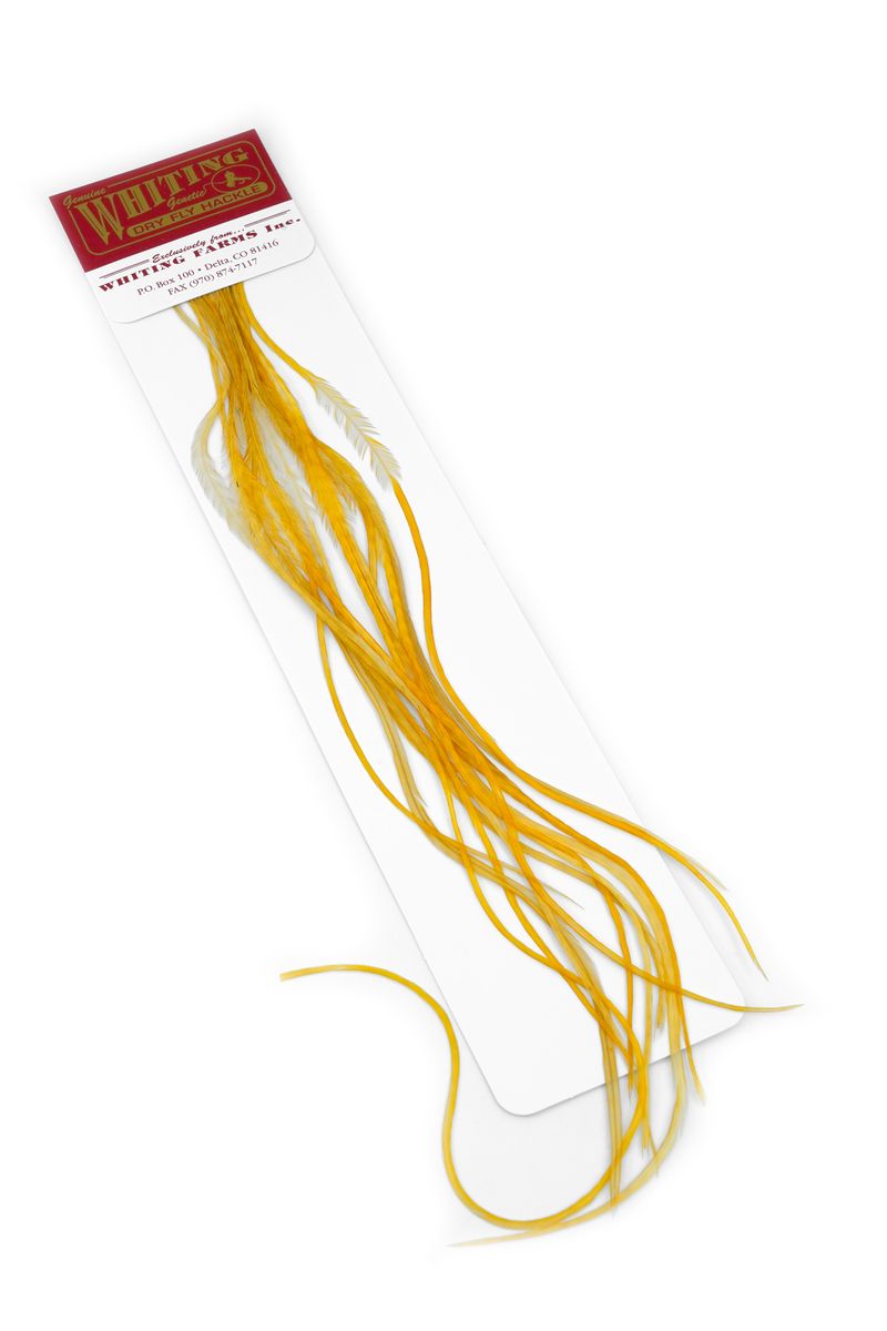 Whiting 100-pk – Size 18 â€“ dealerweb-cms-50f989b7-15e0-41d5-a7c8-4071152cf6be.jpg