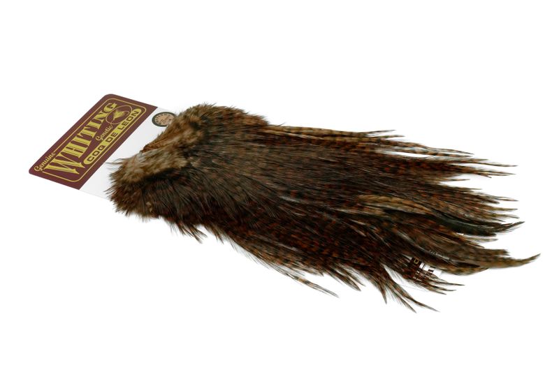 Whiting Coq de Leon Rooster Saddle – Bronze â€“ dealerweb-cms-530eb4c6-fcf3-42db-a125-7e79bc6f4ce3.jpg